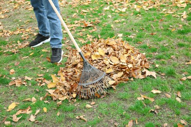 Photo of Man gathering fallen leaves with fan rake outdoors, closeup