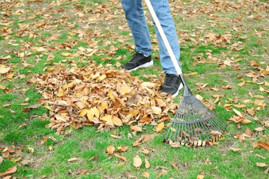 Photo of Man gathering fallen leaves with fan rake outdoors, closeup