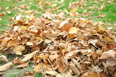 Photo of Pile of fallen autumn leaves on green grass