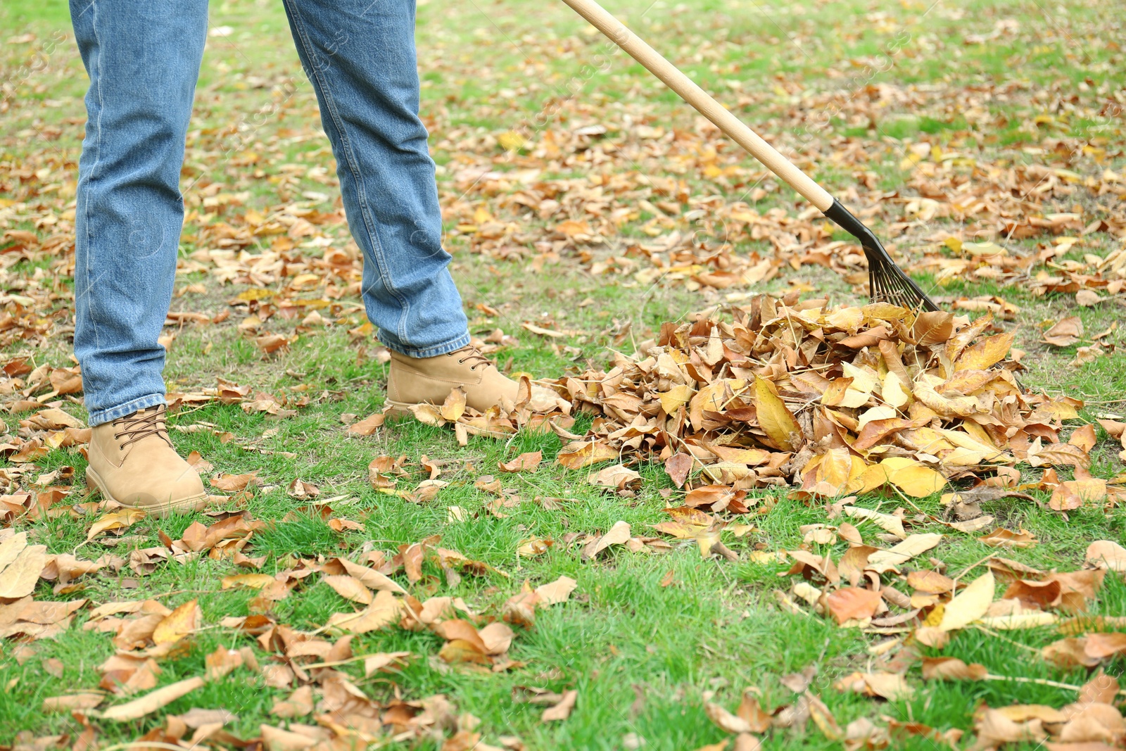 Photo of Man gathering fallen leaves with fan rake outdoors, closeup