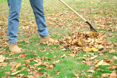 Man gathering fallen leaves with fan rake outdoors, closeup