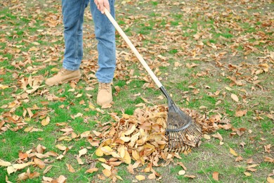 Photo of Man gathering fallen leaves with fan rake outdoors, closeup