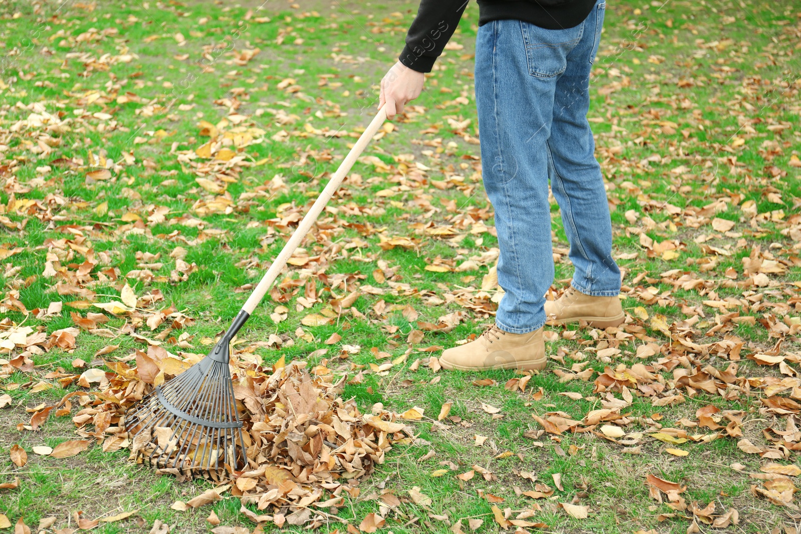 Photo of Man gathering fallen leaves with fan rake outdoors, closeup