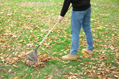 Man gathering fallen leaves with fan rake outdoors, closeup