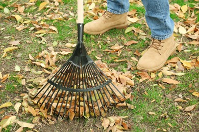 Man gathering fallen leaves with fan rake outdoors, closeup