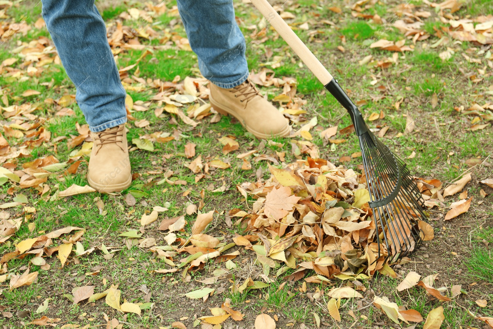 Photo of Man gathering fallen leaves with fan rake outdoors, closeup