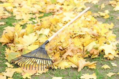 Photo of Fan rake and pile of fallen leaves on green grass