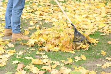 Photo of Man gathering fallen leaves with fan rake outdoors, closeup