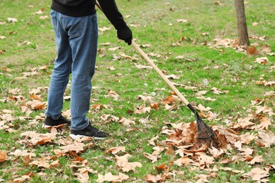 Man gathering fallen leaves with fan rake outdoors, closeup