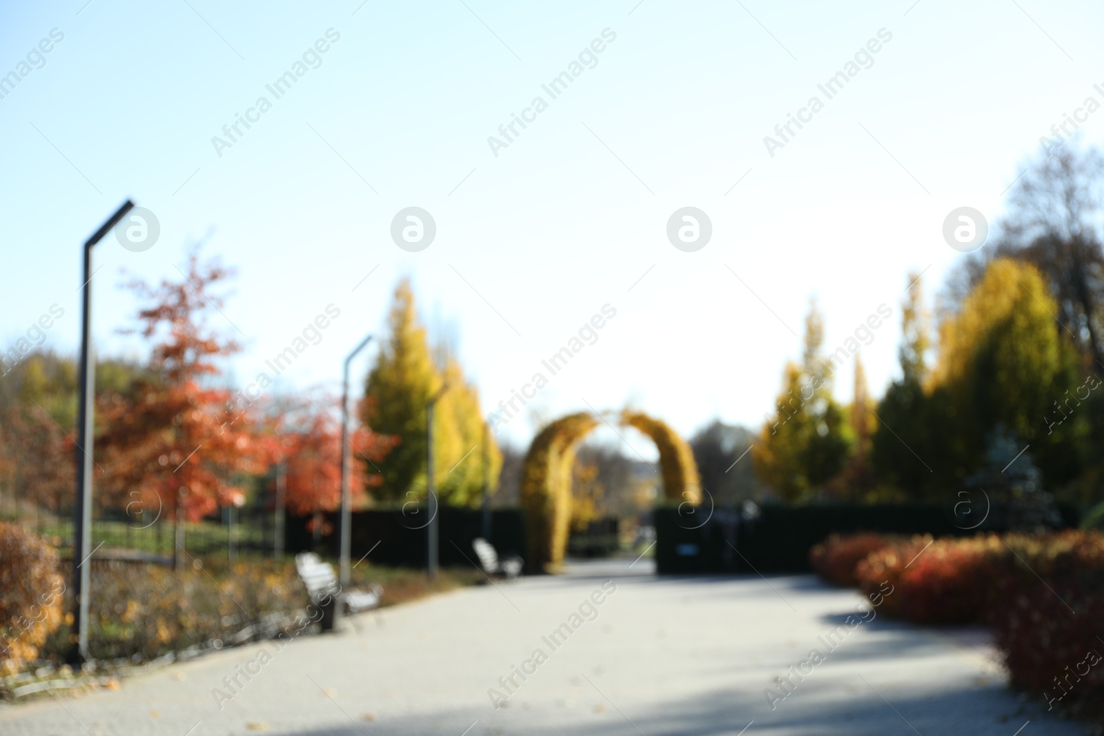 Photo of Blurred view of beautiful autumnal park with pathway