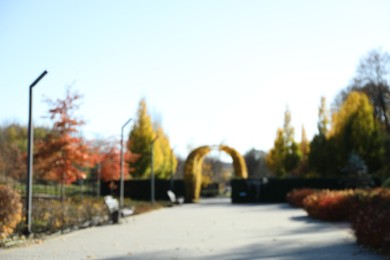 Photo of Blurred view of beautiful autumnal park with pathway