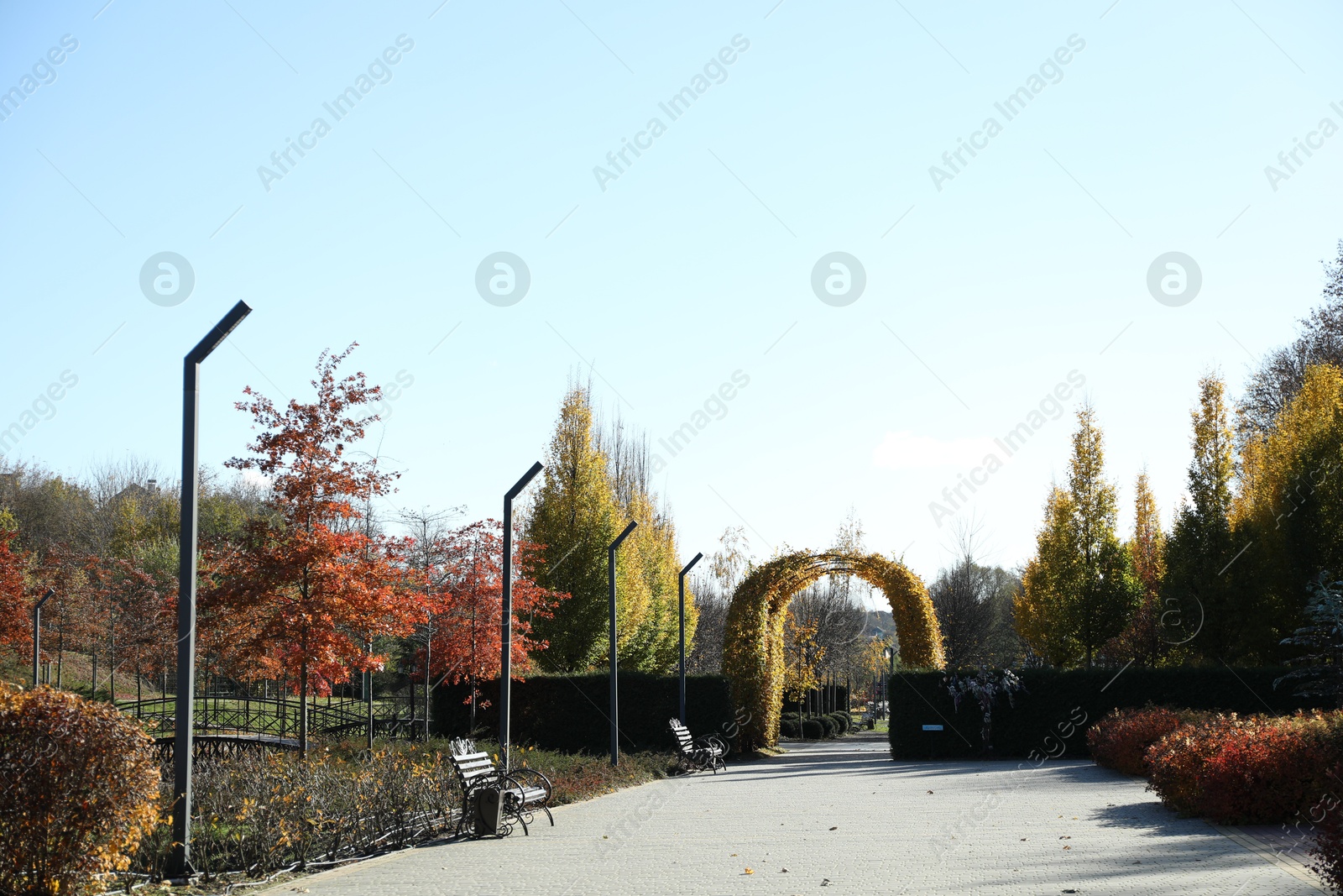 Photo of View of beautiful autumnal park with pathway