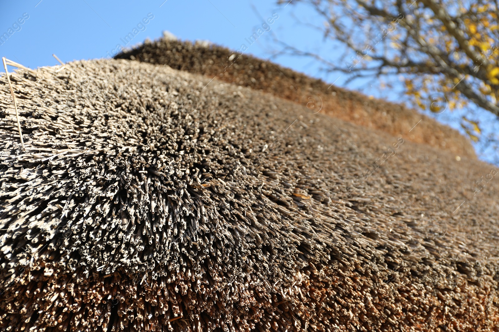 Photo of House with thatched roof in outdoor museum of traditional architecture, closeup