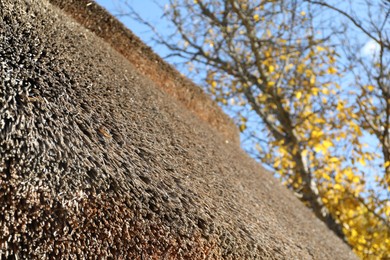 House with thatched roof in outdoor museum of traditional architecture, closeup