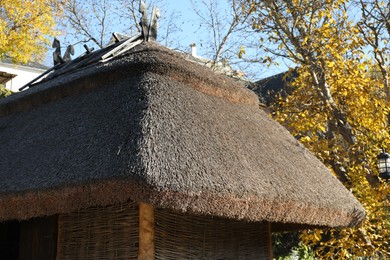 Photo of Barn with thatched roof in outdoor museum of traditional architecture, closeup