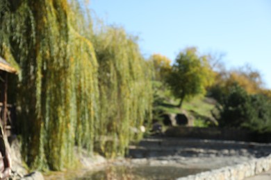 Blurred view of beautiful trees in autumnal park