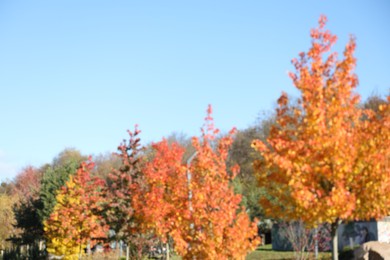 Photo of Blurred view of beautiful autumnal park with golden trees