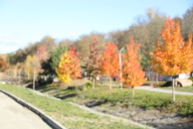 Photo of Blurred view of beautiful autumnal park with pathway