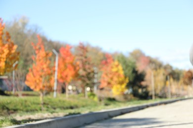 Blurred view of beautiful autumnal park with pathway