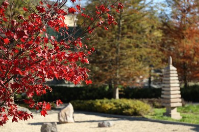 Photo of Beautiful tree with red leaves in park, closeup. Space for text