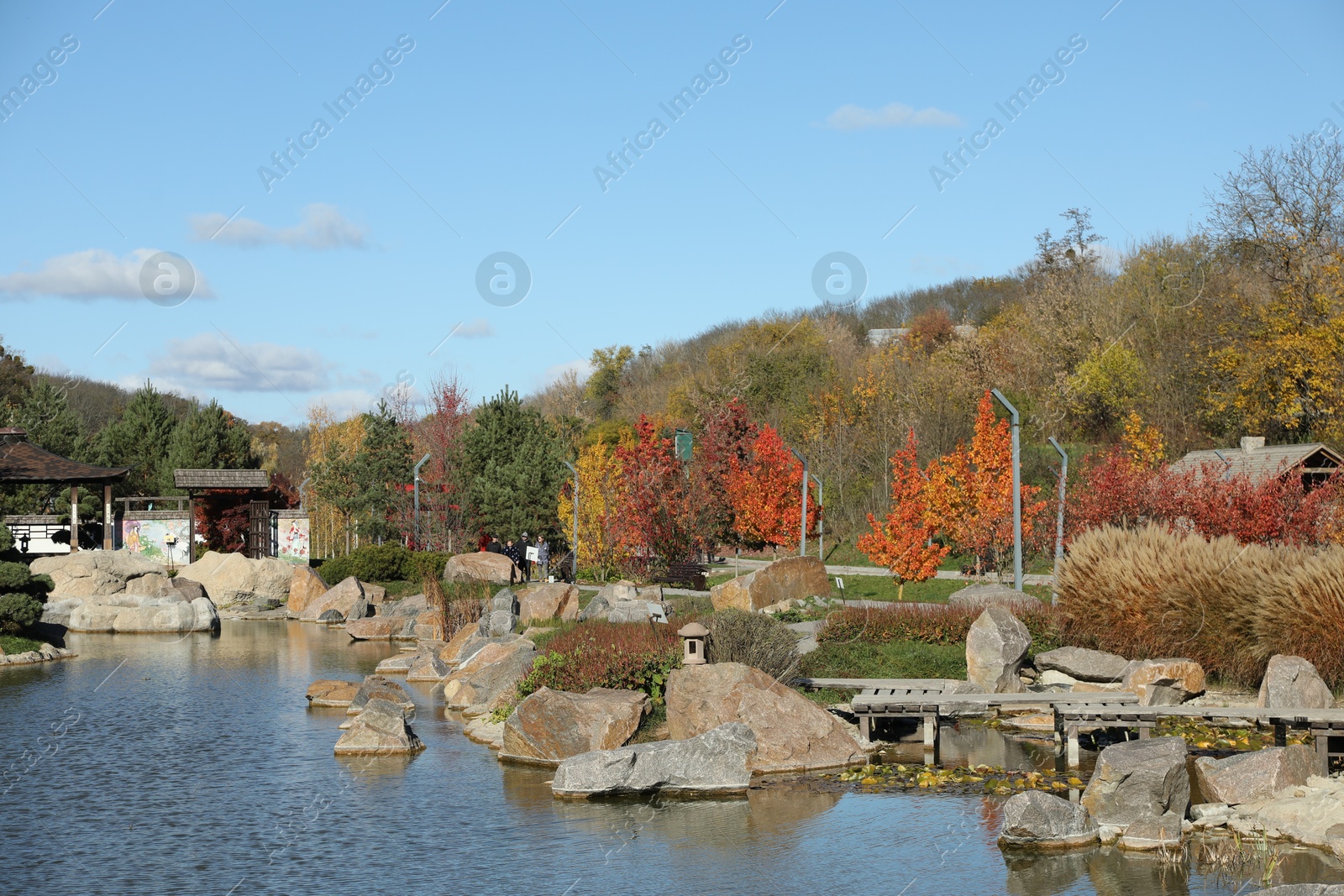 Photo of Beautiful colorful trees along pathway near pond in autumnal park