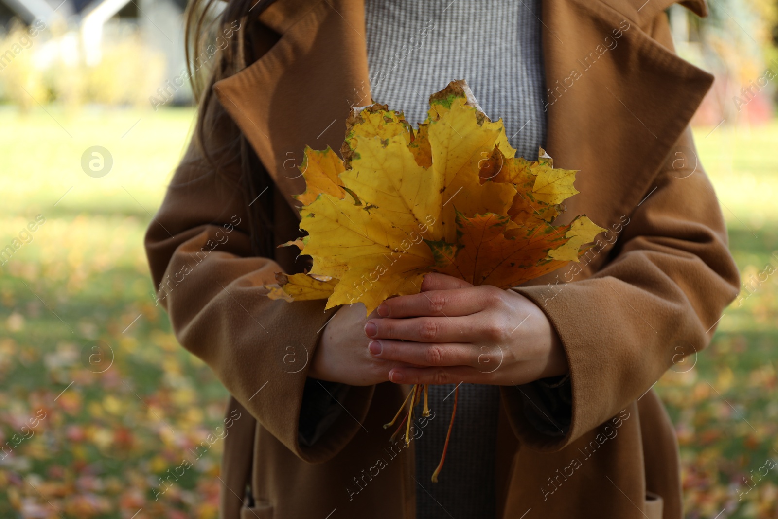 Photo of Woman holding bunch of beautiful yellow leaves in autumnal park, closeup