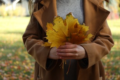 Photo of Woman holding bunch of beautiful yellow leaves in autumnal park, closeup