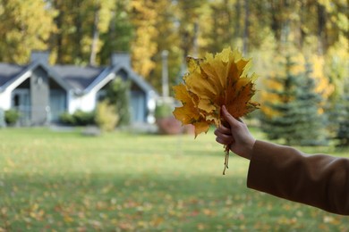 Photo of Woman holding bunch of beautiful yellow leaves in autumnal park, closeup. Space for text