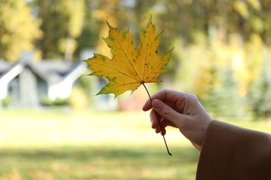 Photo of Woman with beautiful yellow leaf in autumnal park, closeup. Space for text