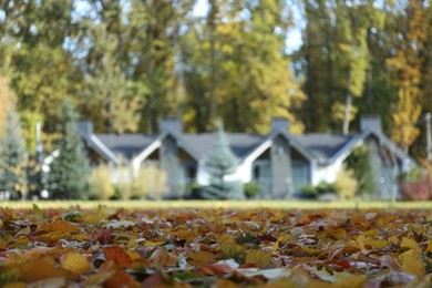 Photo of Hotel buildings and fallen leaves in autumnal park, selective focus