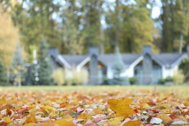 Photo of Hotel buildings and fallen leaves in autumnal park, selective focus