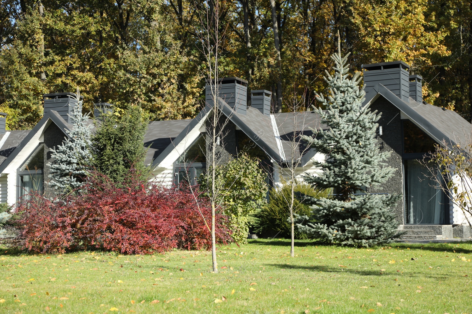 Photo of Hotel buildings and different plants in autumnal park