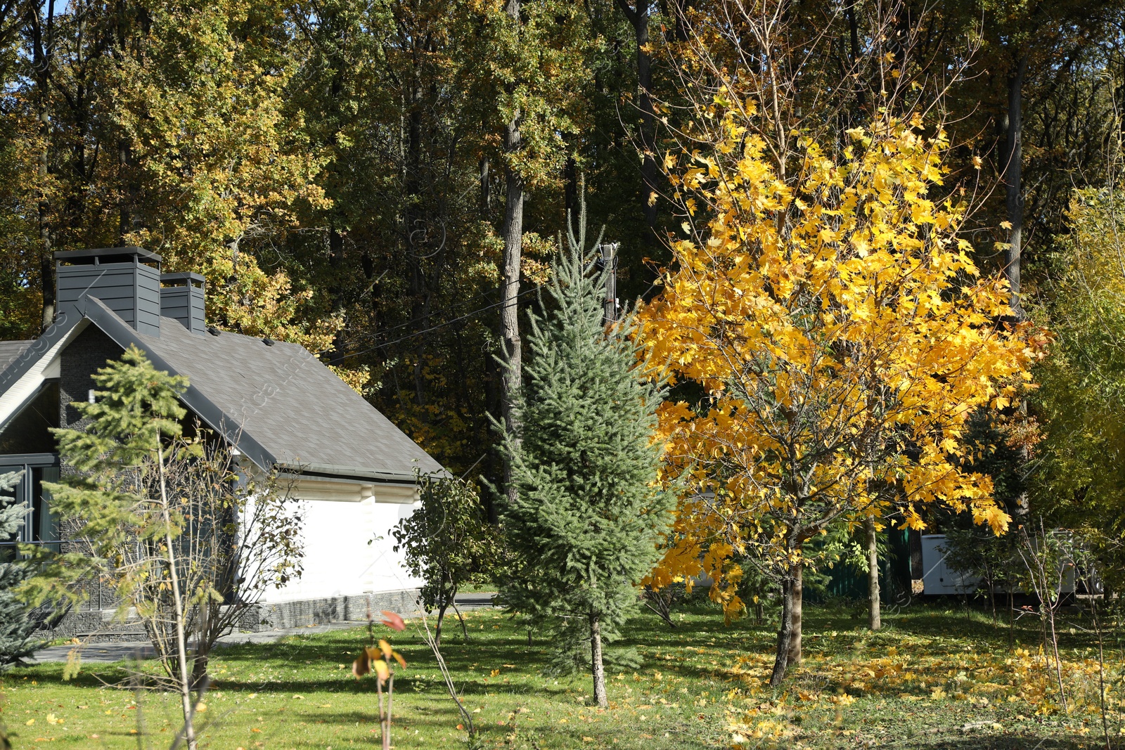 Photo of Hotel building and different plants in autumnal park