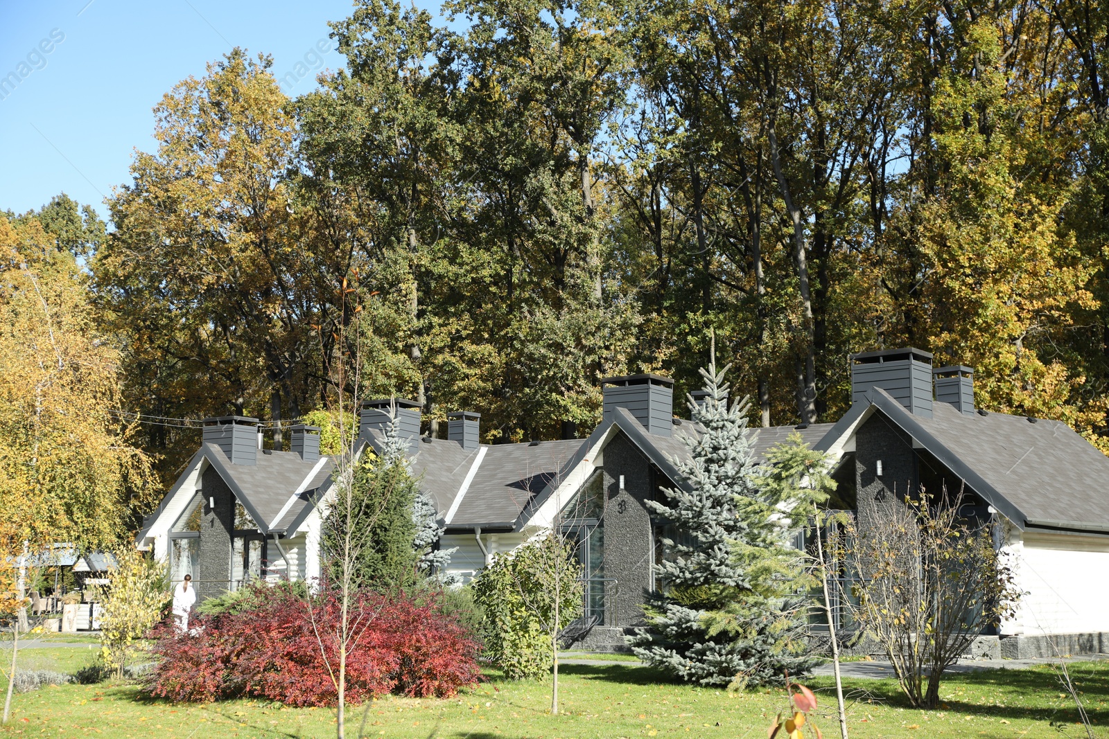 Photo of Hotel buildings and different plants in autumnal park