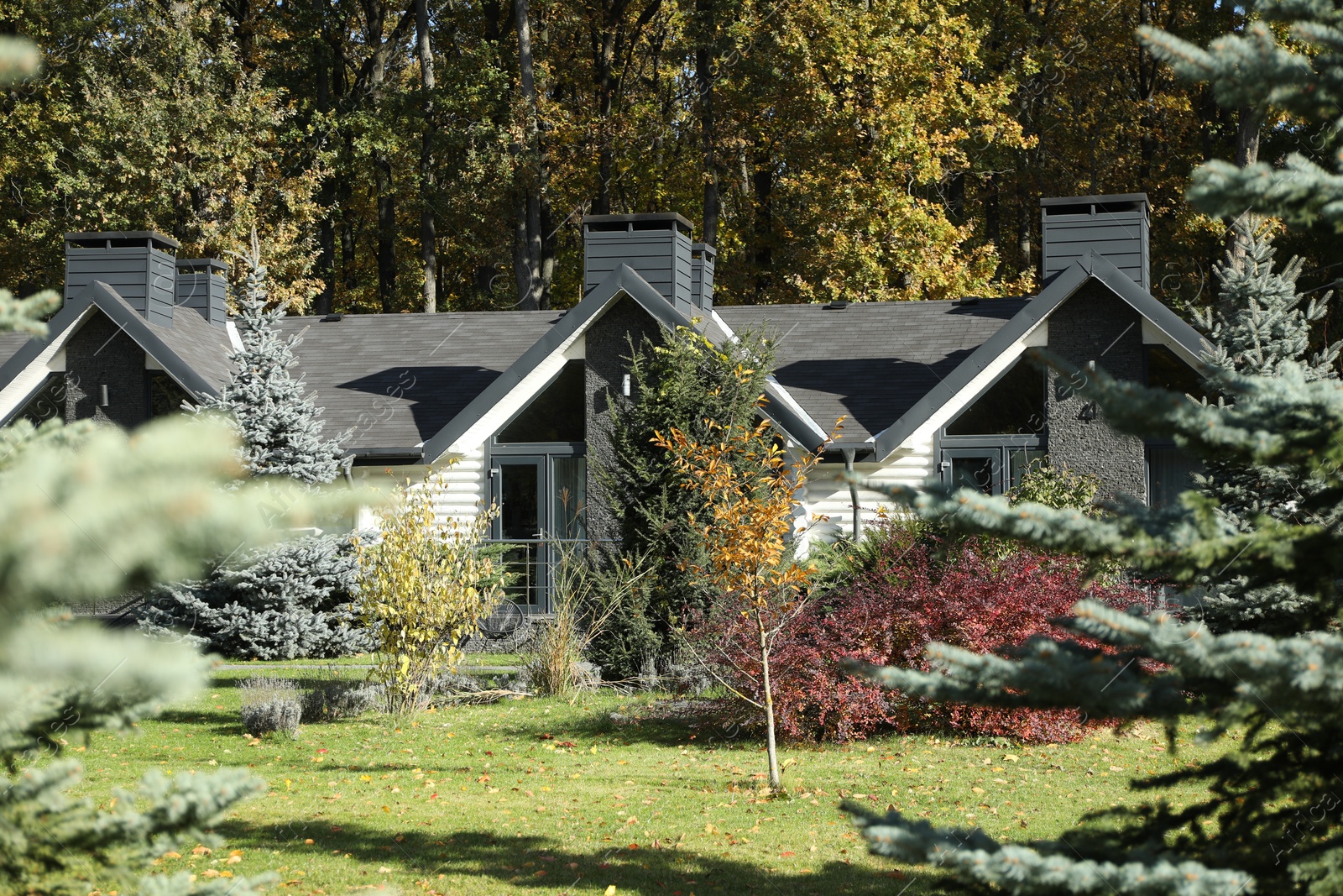 Photo of Hotel buildings and different plants in autumnal park, selective focus