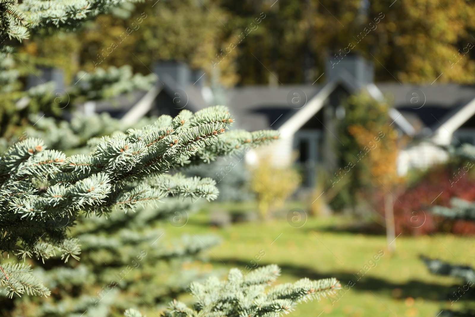 Photo of Hotel buildings and different plants in autumnal park, selective focus