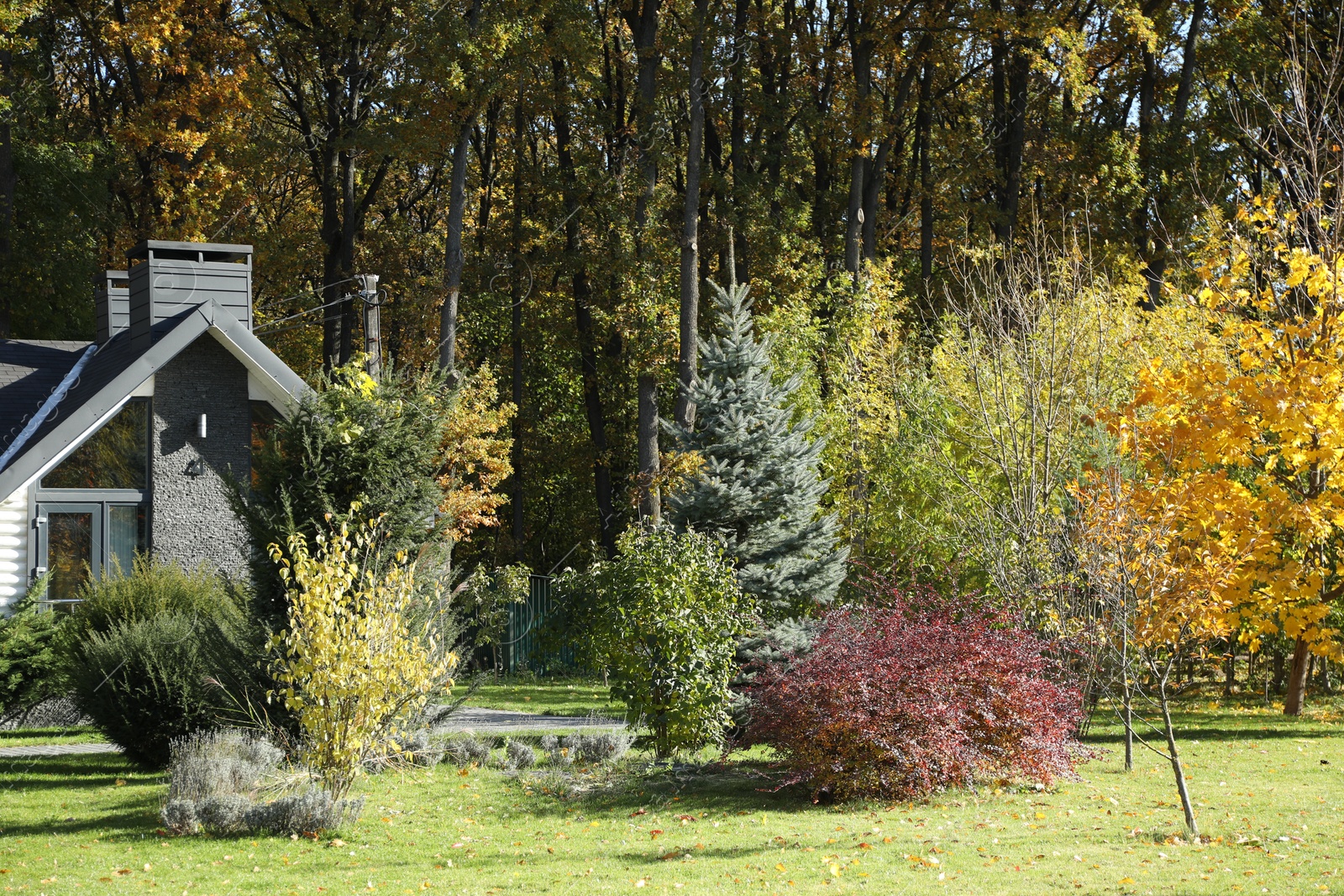 Photo of Hotel building and different plants in autumnal park