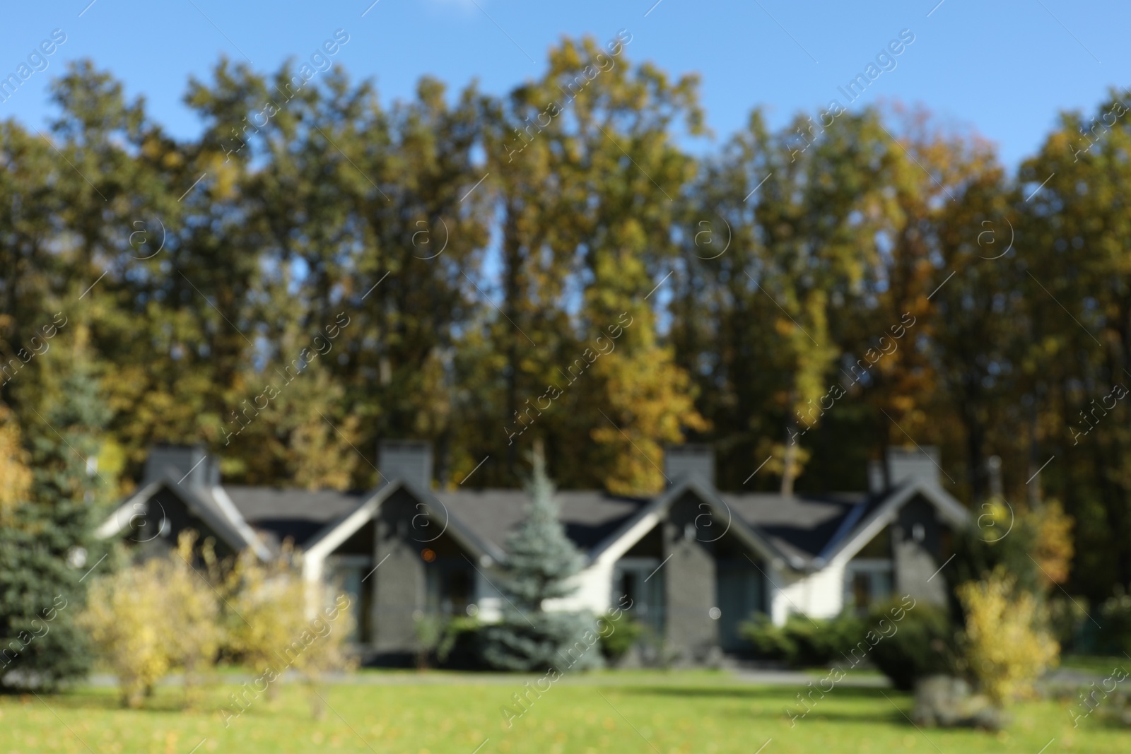 Photo of Blurred view of hotel buildings and different plants in autumnal park