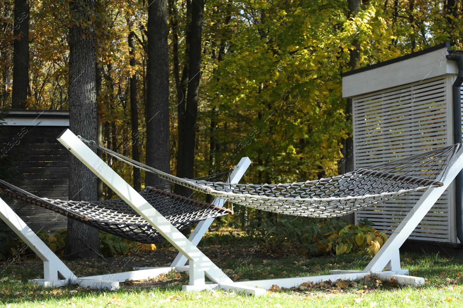 Photo of Comfortable net hammocks in forest. Autumn vacation