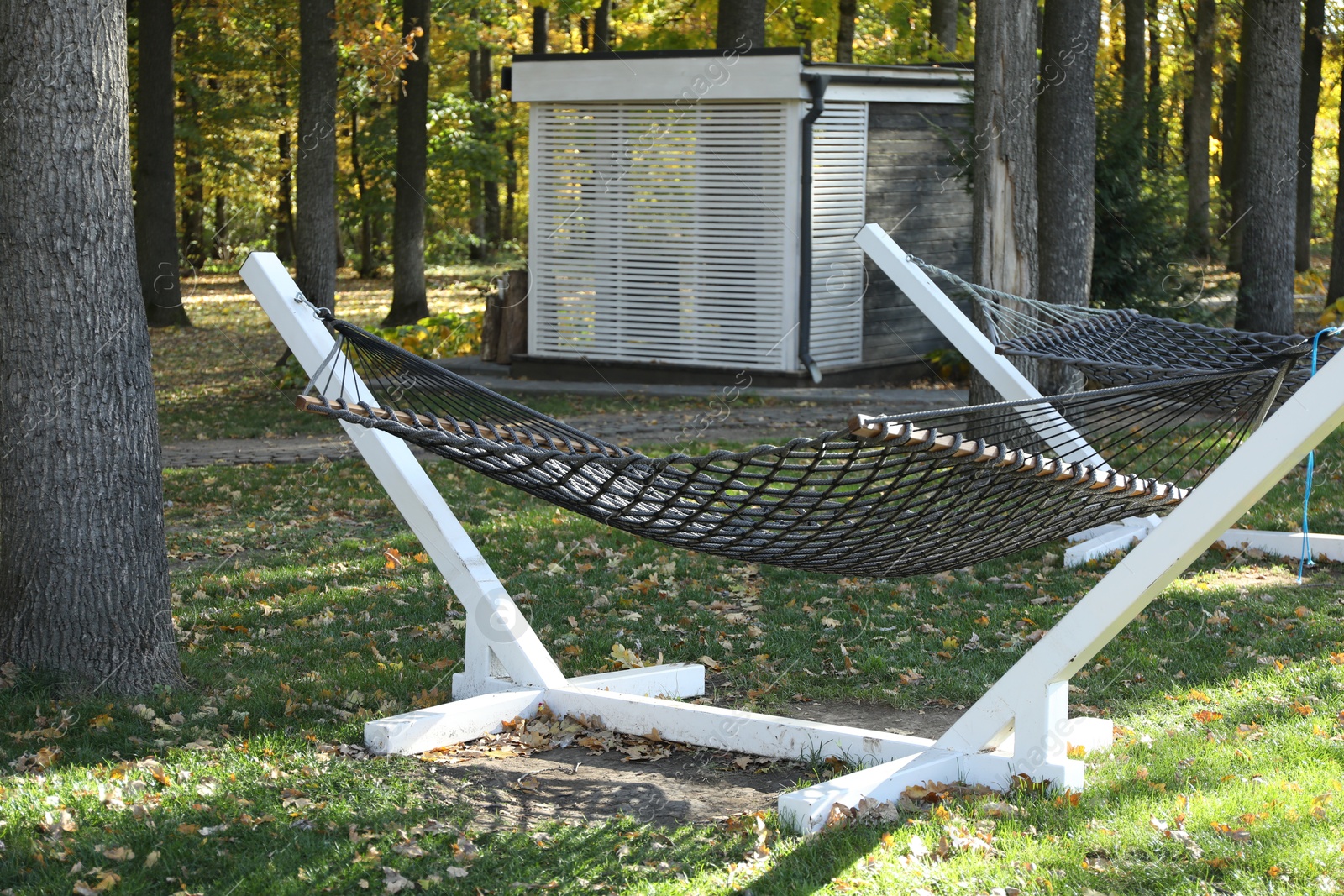 Photo of Comfortable net hammocks in forest. Autumn vacation