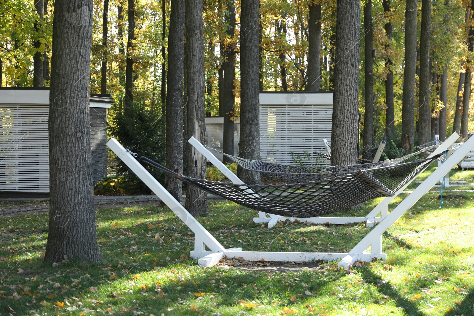 Photo of Comfortable net hammocks in forest. Autumn vacation