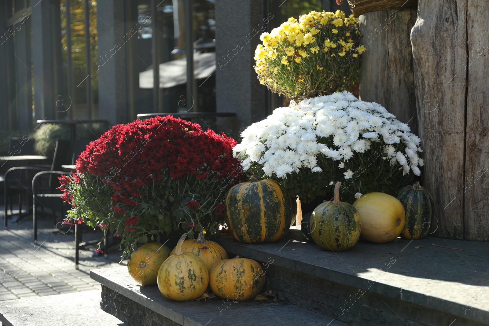 Photo of Entrance of modern cafe decorated with flowers and pumpkins