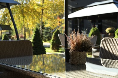 Photo of Table with flowers and chairs in outdoor cafe, closeup