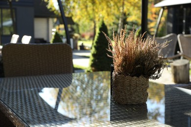 Photo of Table with flowers and chairs in outdoor cafe, closeup