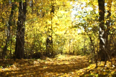 Blurred view of pathway in autumnal park