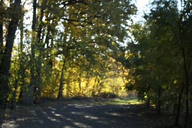 Photo of Blurred view of beautiful trees in autumnal park