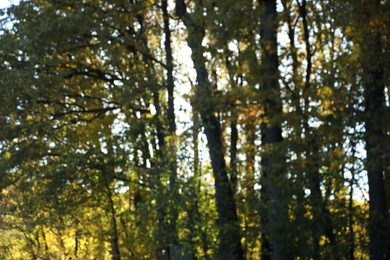 Photo of Blurred view of beautiful trees in autumnal park