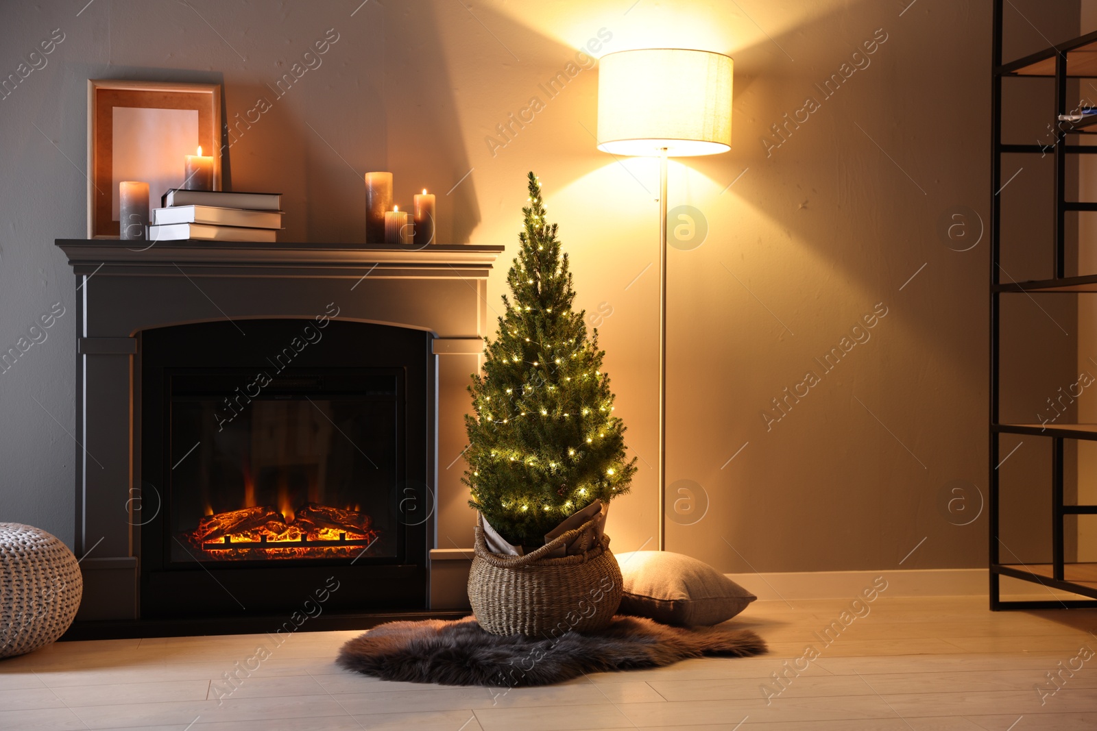 Photo of Small spruce tree in basket decorated with Christmas lights near fireplace indoors