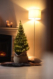 Photo of Small spruce tree in basket decorated with Christmas lights near fireplace indoors