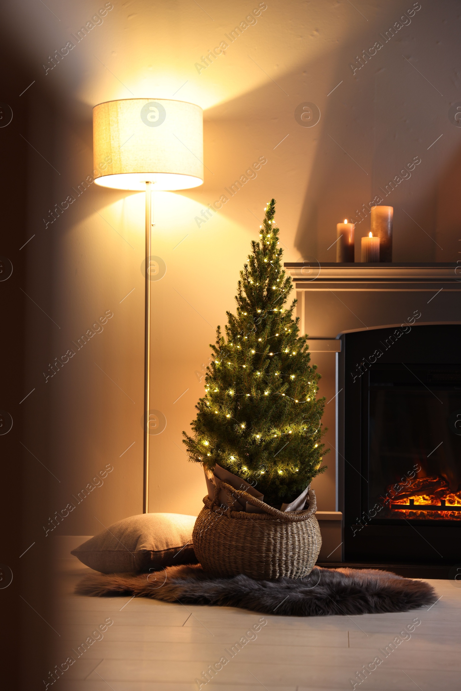 Photo of Small spruce tree in basket decorated with Christmas lights near fireplace indoors